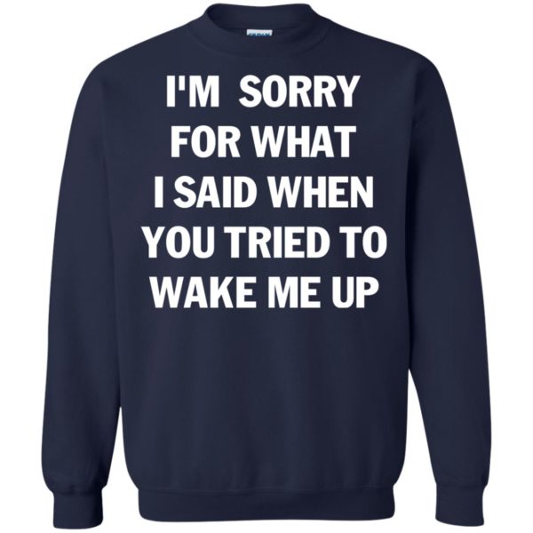 I'm Sorry For What I Said When You Tried To Wake Me Up T Shirts