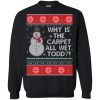 Why Is The Carpet All Wet Todd Christmas Sweatshirt
