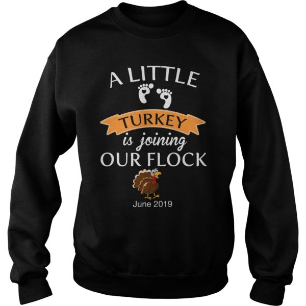 A Little Turkey Is Joining Our Flock June 2019 Shirt