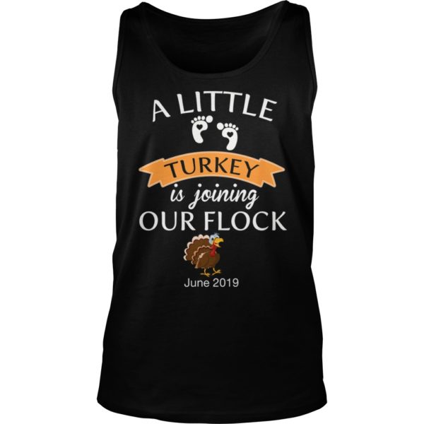 A Little Turkey Is Joining Our Flock June 2019 Thanksgiving Pregnancy Reveal Tshirt June 2019 Cute Baby Shirt