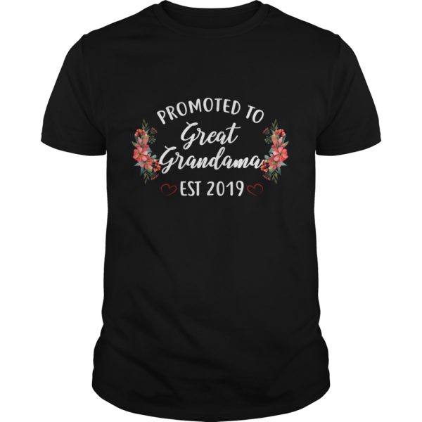 Promoted to Great Grandma Est 2019 Shirt